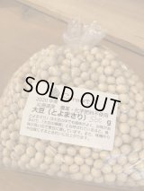 　北海道産　大豆500g（品種:とよまさり）農薬、化学肥料不使用