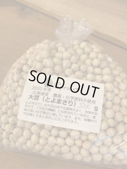 画像1: 　北海道産　大豆500g（品種:とよまさり）農薬、化学肥料不使用