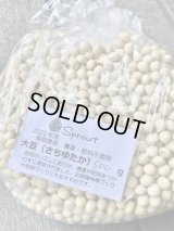 　鳥取県産　大豆500g（品種:さちゆたか）農薬、肥料不使用