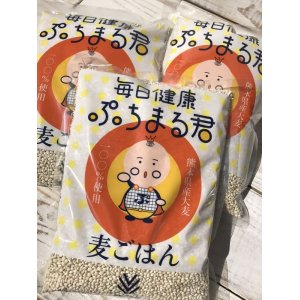 画像: 毎日健康 ぷちまる君 1ｋｇ×３パック （熊本県産 大麦100％使用 ）　　お得な３パックセット