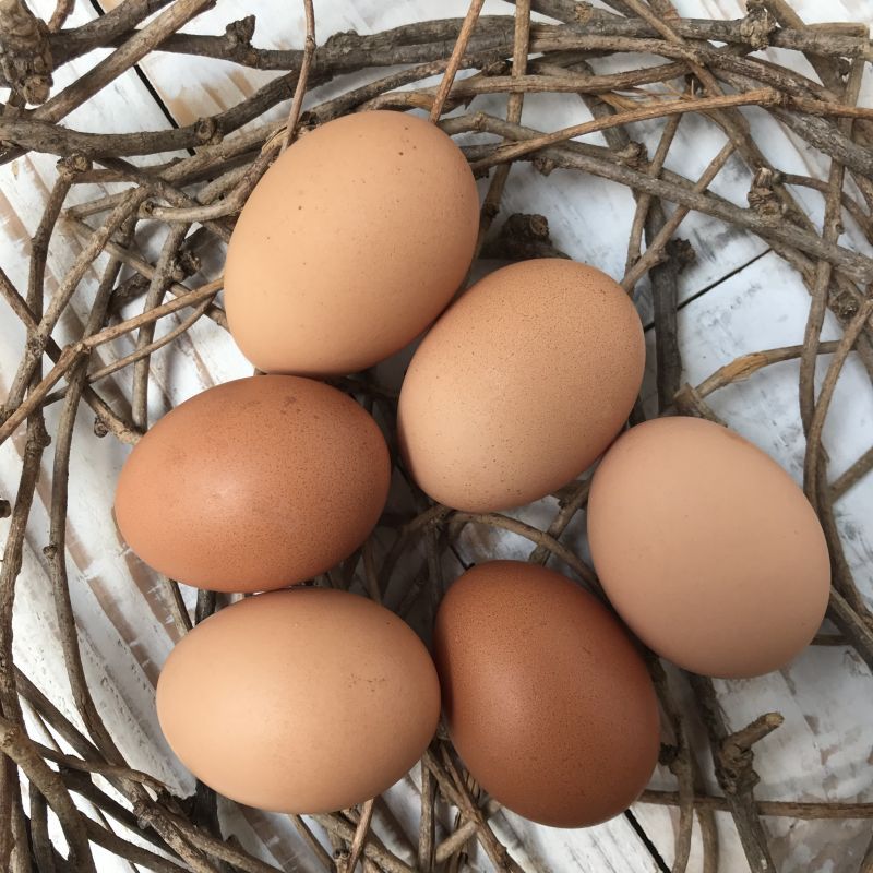 画像1: 兵庫県　そらまめ農場　伸び伸びと飼育された元気な親鶏がうんだ美味しい「平飼いの卵」　6個入り